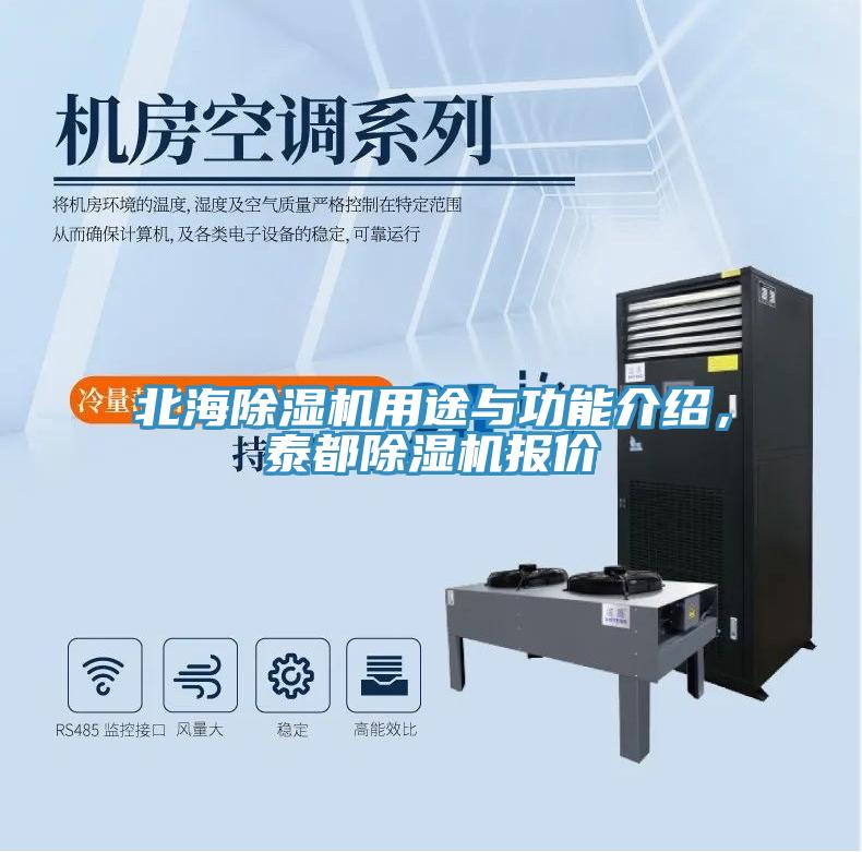 北海除濕機用途與功能介紹，泰都除濕機報價