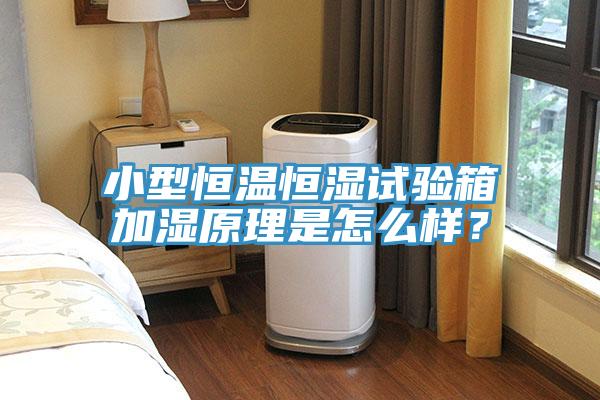 小型恒溫恒濕試驗箱加濕原理是怎么樣？