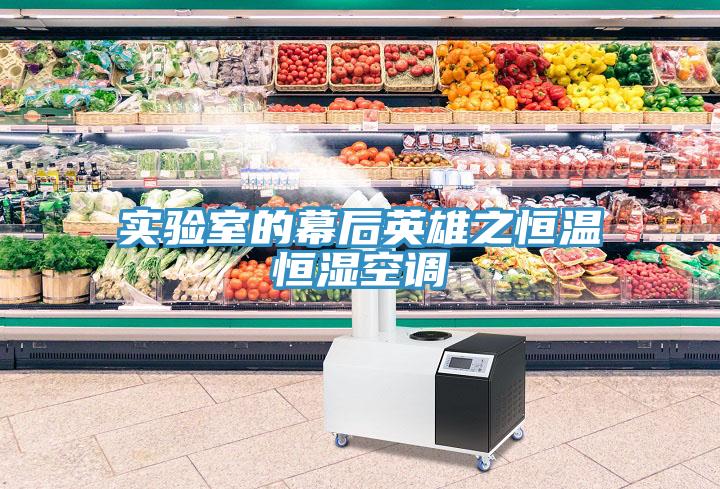 實(shí)驗(yàn)室的幕后英雄之恒溫恒濕空調(diào)