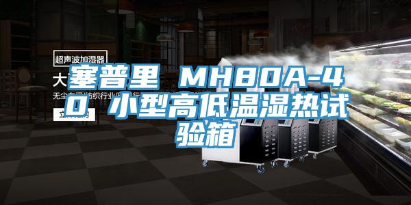 塞普里 MH80A-40 小型高低溫濕熱試驗(yàn)箱