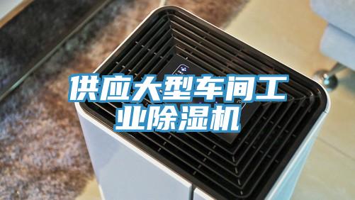供應(yīng)大型車間工業(yè)除濕機(jī)