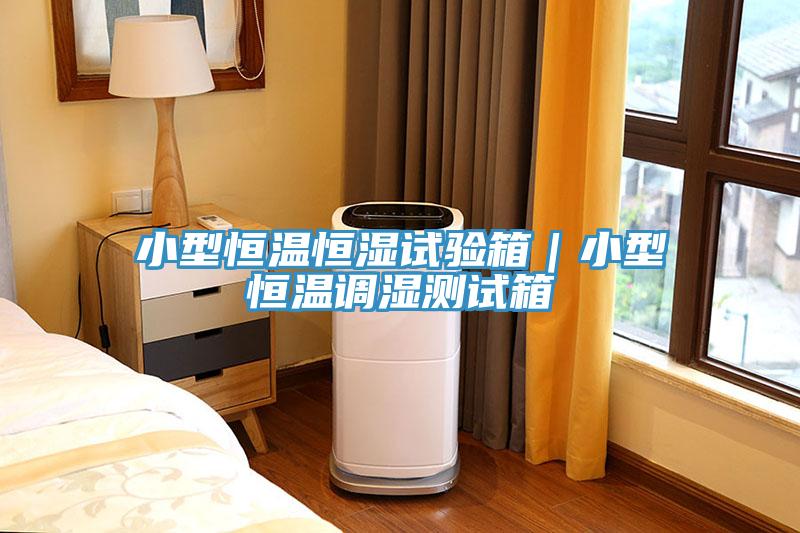小型恒溫恒濕試驗(yàn)箱｜小型恒溫調(diào)濕測試箱