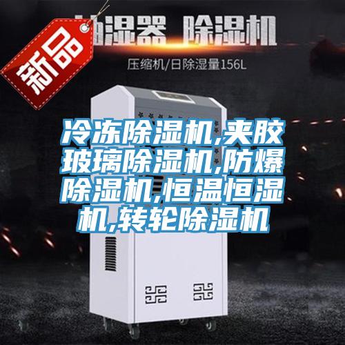 冷凍除濕機(jī),夾膠玻璃除濕機(jī),防爆除濕機(jī),恒溫恒濕機(jī),轉(zhuǎn)輪除濕機(jī)