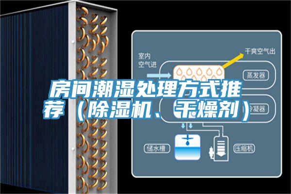 房間潮濕處理方式推薦（除濕機、干燥劑）