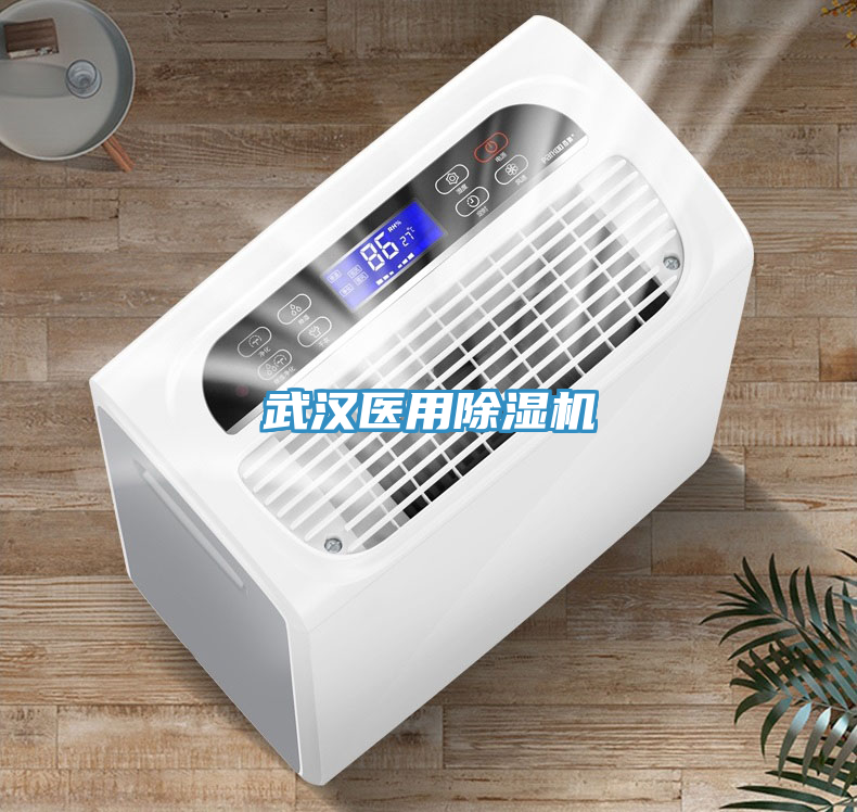 武漢醫(yī)用除濕機