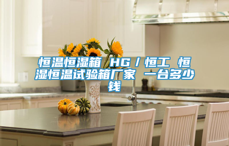 恒溫恒濕箱 HG／恒工 恒濕恒溫試驗(yàn)箱廠家 一臺多少錢