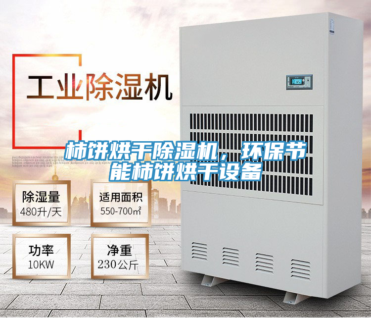 柿餅烘干除濕機，環(huán)保節(jié)能柿餅烘干設備