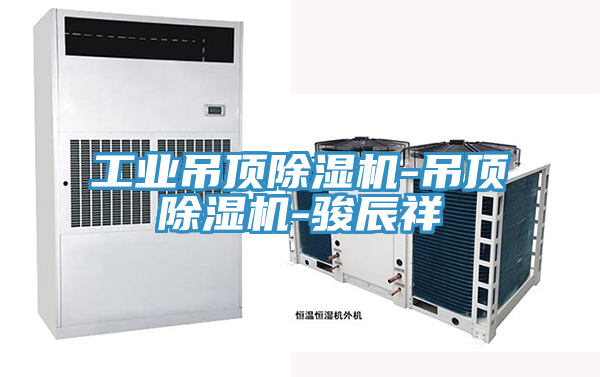 工業(yè)吊頂除濕機(jī)-吊頂除濕機(jī)-駿辰祥