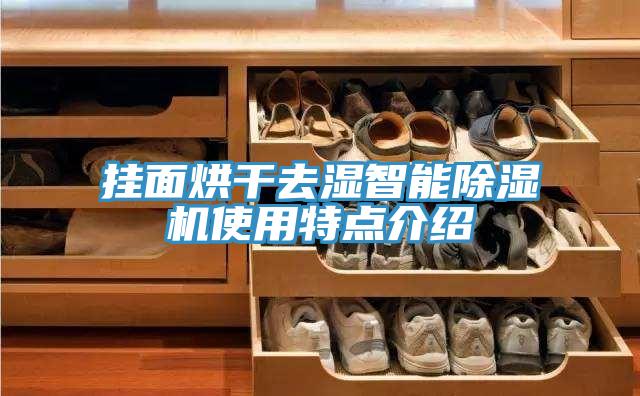掛面烘干去濕智能除濕機(jī)使用特點(diǎn)介紹