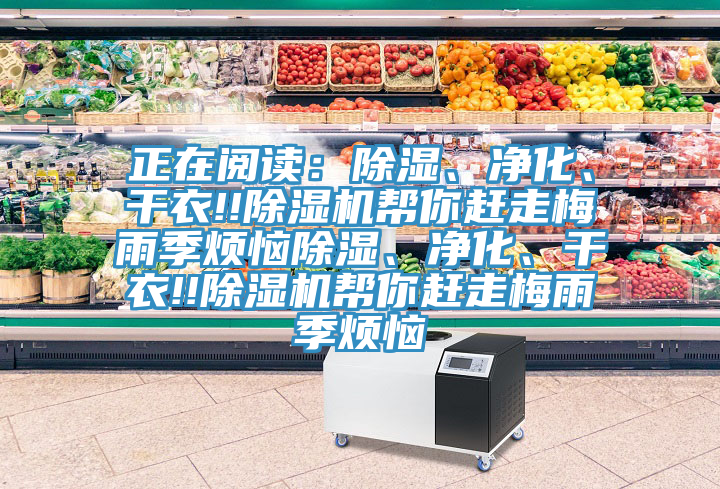正在閱讀：除濕、凈化、干衣!!除濕機(jī)幫你趕走梅雨季煩惱除濕、凈化、干衣!!除濕機(jī)幫你趕走梅雨季煩惱
