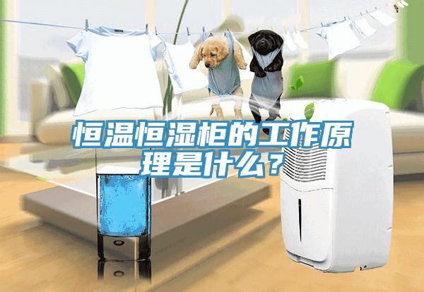 恒溫恒濕柜的工作原理是什么？