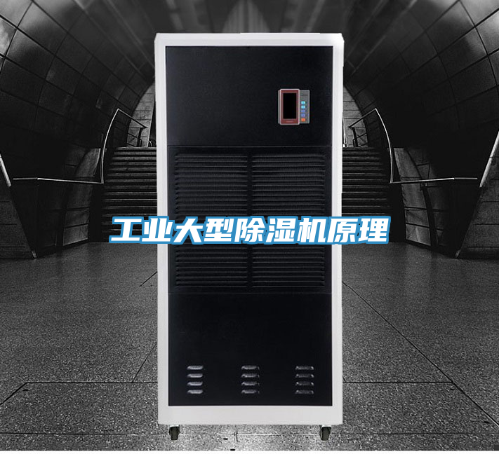 工業(yè)大型除濕機(jī)原理