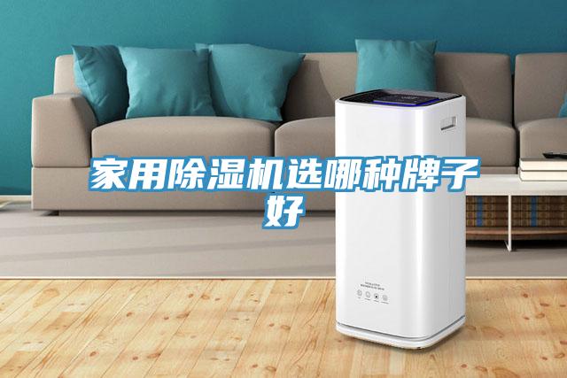 家用除濕機(jī)選哪種牌子好