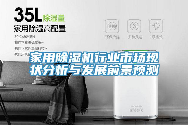 家用除濕機(jī)行業(yè)市場(chǎng)現(xiàn)狀分析與發(fā)展前景預(yù)測(cè)