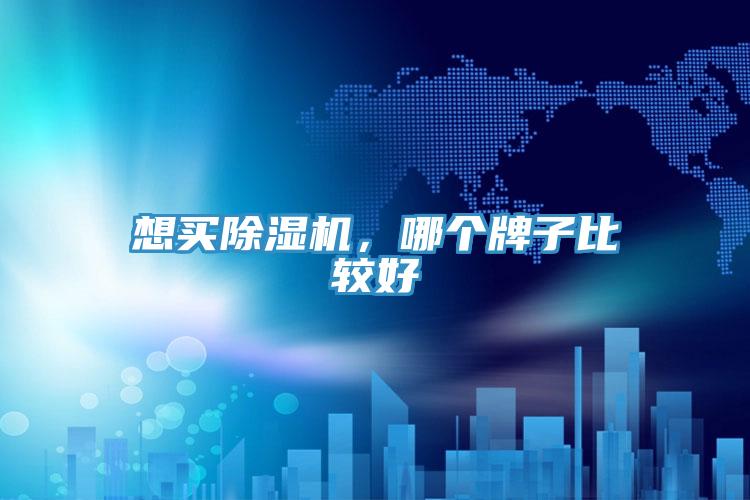 想買除濕機(jī)，哪個牌子比較好