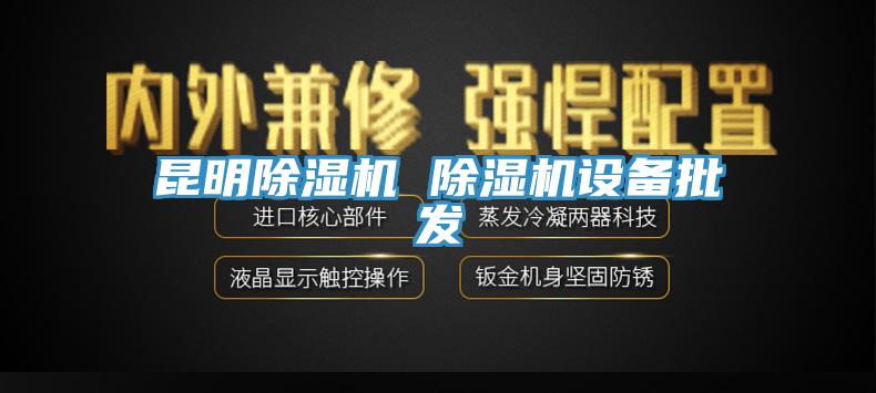 昆明除濕機(jī) 除濕機(jī)設(shè)備批發(fā)