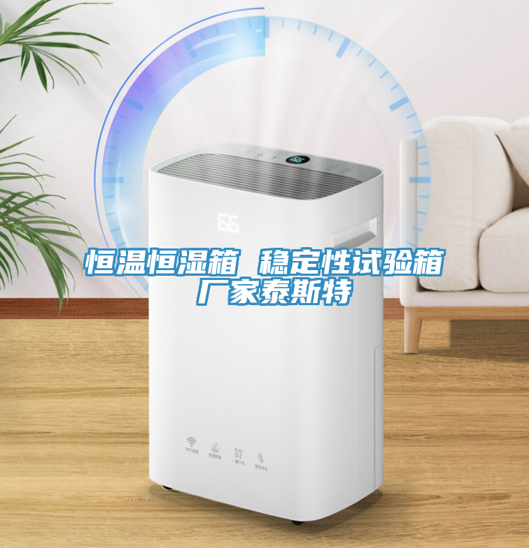 恒溫恒濕箱 穩(wěn)定性試驗箱 廠家泰斯特