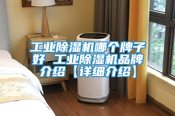 工業(yè)除濕機(jī)哪個牌子好 工業(yè)除濕機(jī)品牌介紹【詳細(xì)介紹】