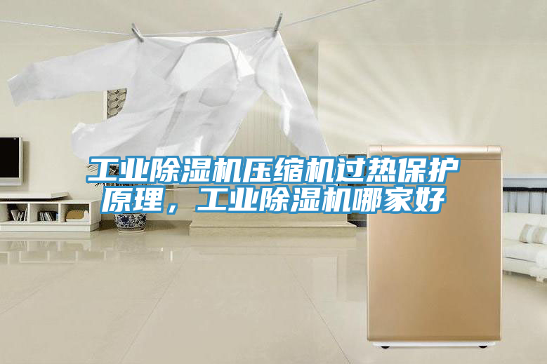 工業(yè)除濕機壓縮機過熱保護原理，工業(yè)除濕機哪家好