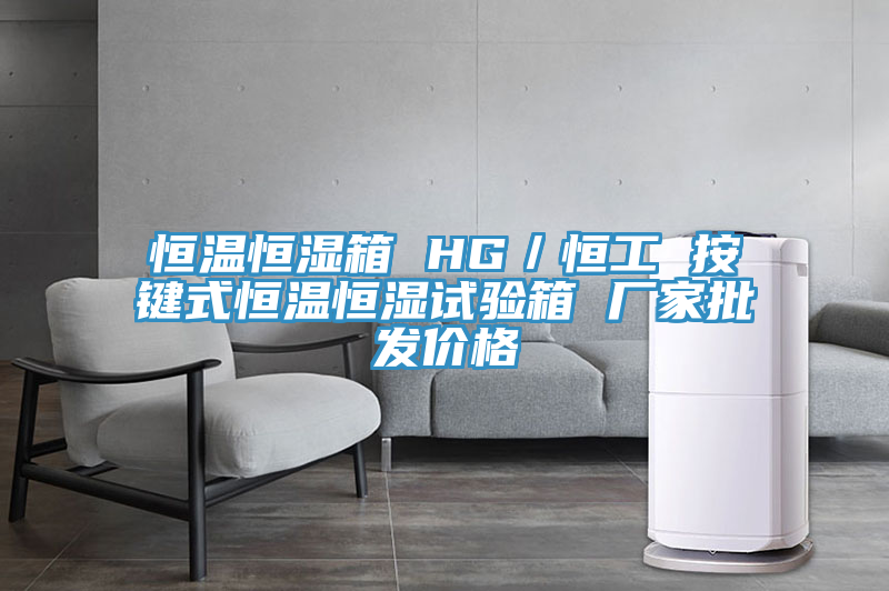 恒溫恒濕箱 HG／恒工 按鍵式恒溫恒濕試驗(yàn)箱 廠家批發(fā)價格