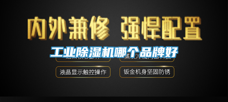 工業(yè)除濕機(jī)哪個品牌好