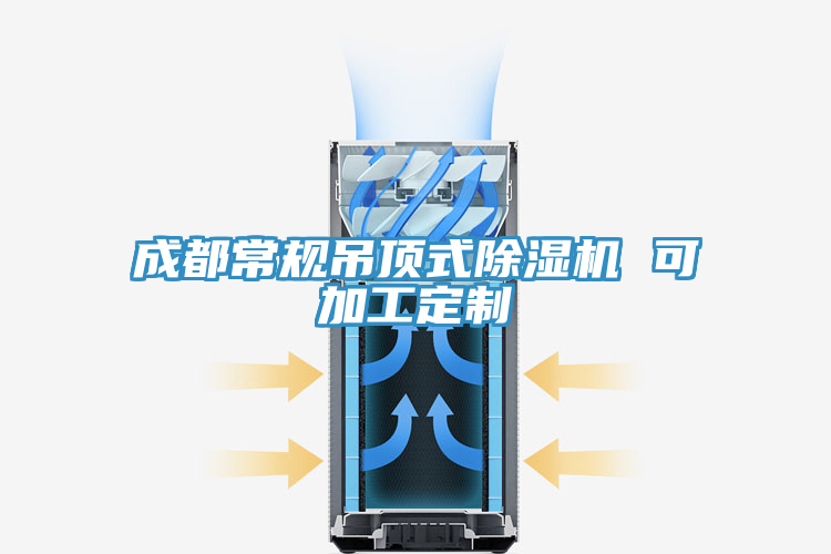 成都常規(guī)吊頂式除濕機(jī) 可加工定制