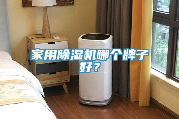 家用除濕機(jī)哪個(gè)牌子好？