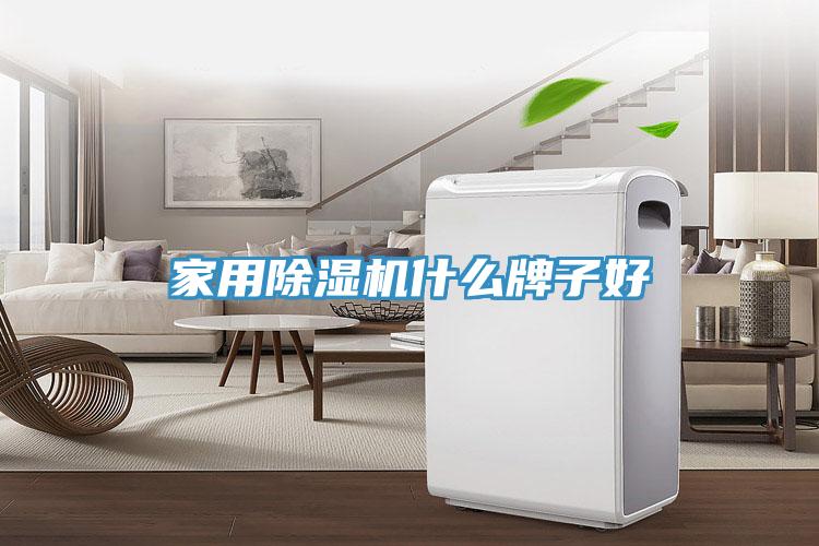 家用除濕機(jī)什么牌子好
