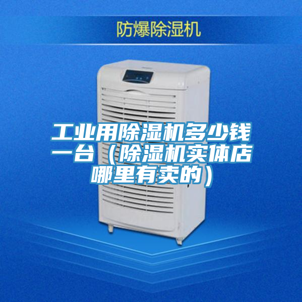 工業(yè)用除濕機(jī)多少錢一臺（除濕機(jī)實體店哪里有賣的）