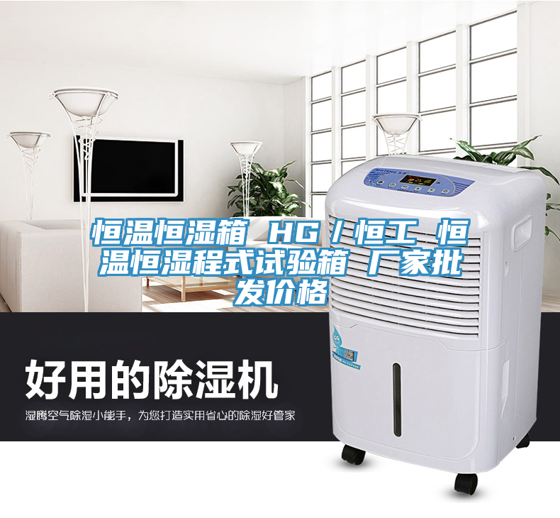 恒溫恒濕箱 HG／恒工 恒溫恒濕程式試驗(yàn)箱 廠家批發(fā)價格