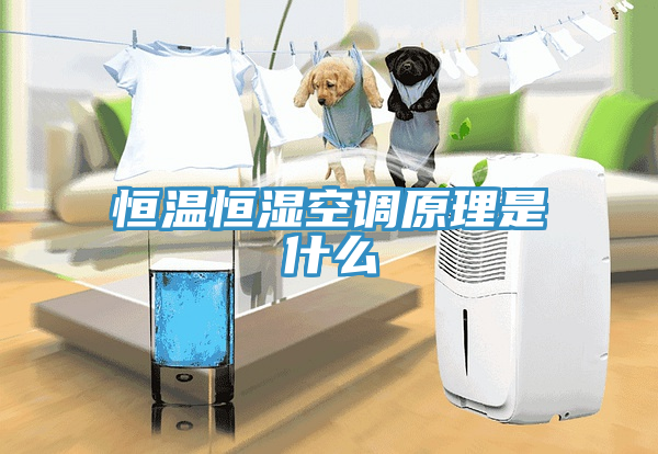 恒溫恒濕空調原理是什么