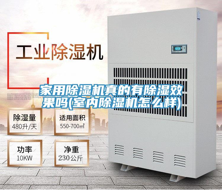 家用除濕機真的有除濕效果嗎(室內(nèi)除濕機怎么樣)