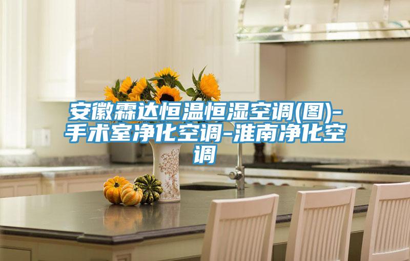 安徽霖達(dá)恒溫恒濕空調(diào)(圖)-手術(shù)室凈化空調(diào)-淮南凈化空調(diào)