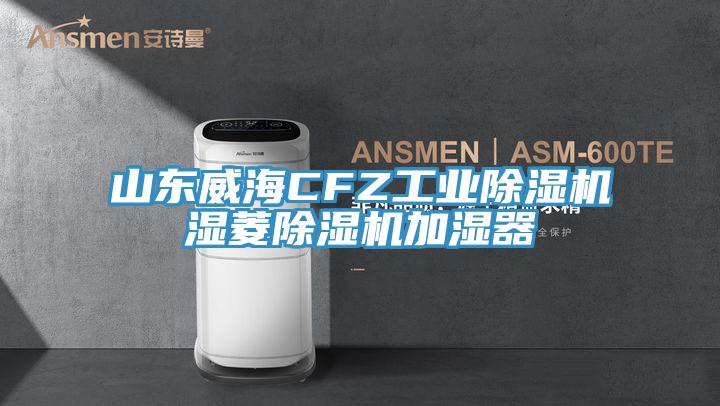 山東威海CFZ工業(yè)除濕機(jī)濕菱除濕機(jī)加濕器