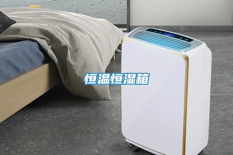 恒溫恒濕箱