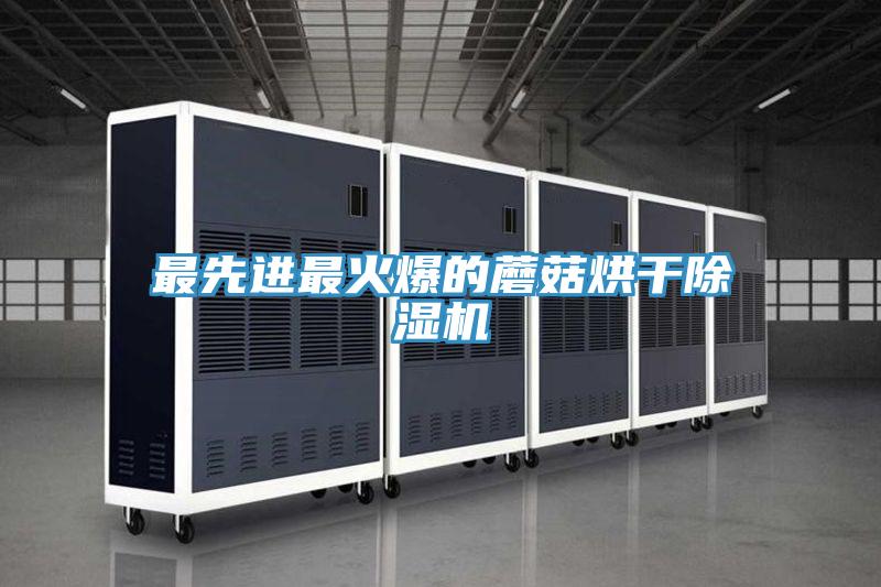 最先進最火爆的蘑菇烘干除濕機