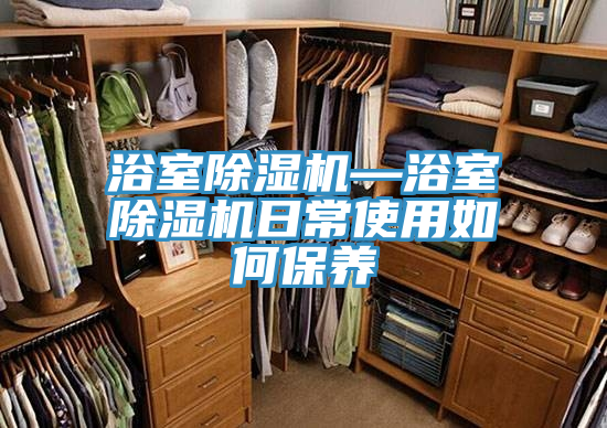 浴室除濕機(jī)—浴室除濕機(jī)日常使用如何保養(yǎng)