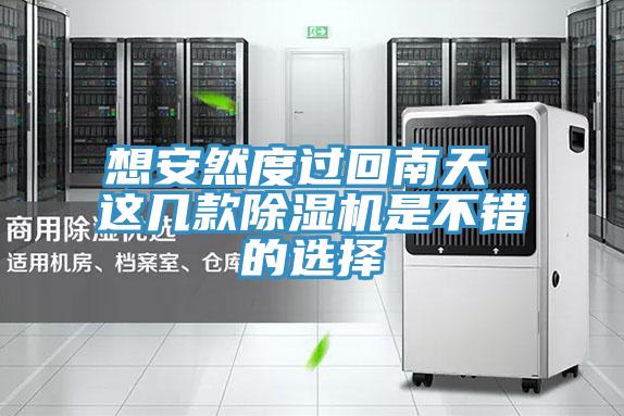 想安然度過回南天 這幾款除濕機(jī)是不錯的選擇