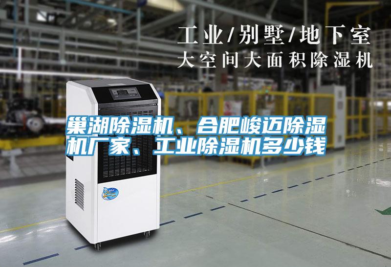巢湖除濕機、合肥峻邁除濕機廠家、工業(yè)除濕機多少錢