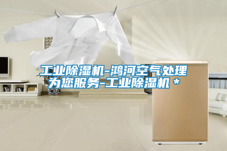 工業(yè)除濕機-鴻河空氣處理為您服務-工業(yè)除濕機＊