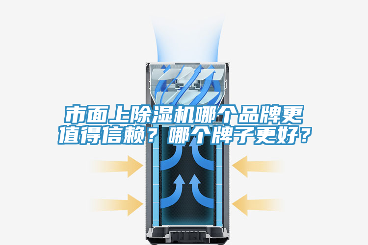 市面上除濕機哪個品牌更值得信賴？哪個牌子更好？