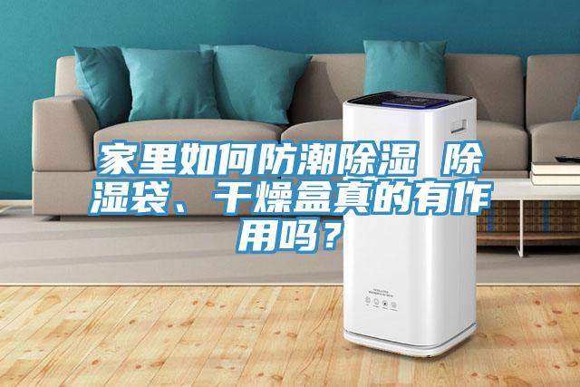 家里如何防潮除濕 除濕袋、干燥盒真的有作用嗎？