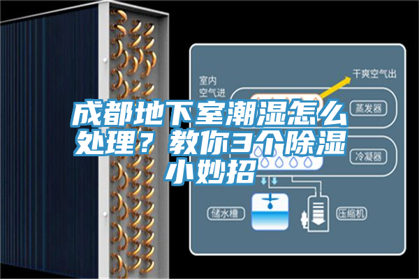 成都地下室潮濕怎么處理？教你3個(gè)除濕小妙招