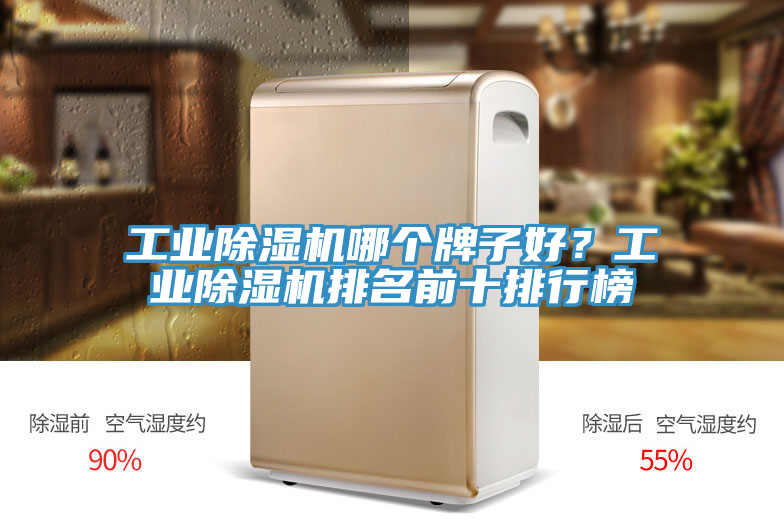 工業(yè)除濕機(jī)哪個(gè)牌子好？工業(yè)除濕機(jī)排名前十排行榜