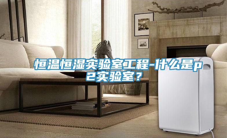 恒溫恒濕實(shí)驗(yàn)室工程-什么是p2實(shí)驗(yàn)室？