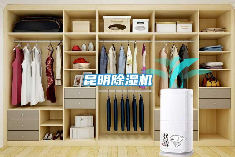 昆明除濕機(jī)