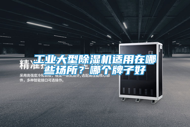 工業(yè)大型除濕機(jī)適用在哪些場所？哪個牌子好