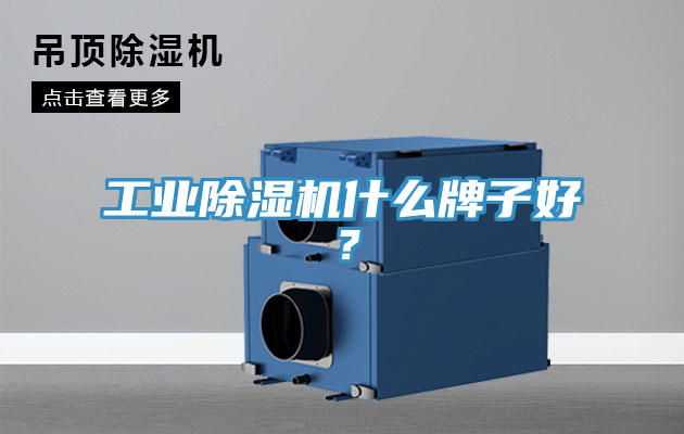 工業(yè)除濕機什么牌子好？