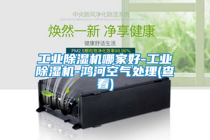 工業(yè)除濕機(jī)哪家好-工業(yè)除濕機(jī)-鴻河空氣處理(查看)