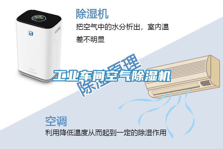 工業(yè)車間空氣除濕機
